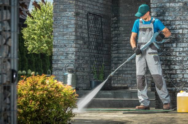 Best Gutter Cleaning  in Williamson, WV