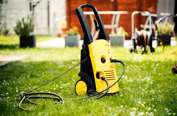 Best Pre-Holiday Cleaning  in Williamson, WV